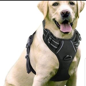 Rabbitgoo Dog Harness - Large